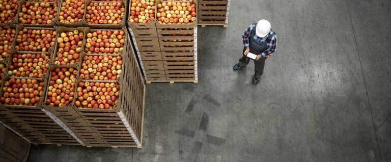 How To Export Fruit: Sending Sweet Goods Made Easy Cargo Export USA
